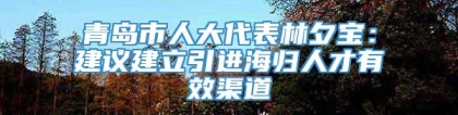 青岛市人大代表林夕宝：建议建立引进海归人才有效渠道