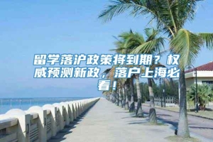 留学落沪政策将到期？权威预测新政，落户上海必看！