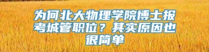 为何北大物理学院博士报考城管职位？其实原因也很简单