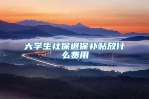 大学生社保退保补贴放什么费用