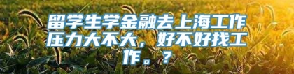 留学生学金融去上海工作压力大不大，好不好找工作。？