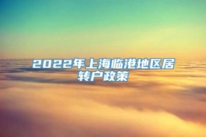 2022年上海临港地区居转户政策