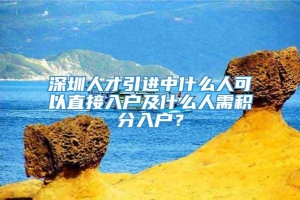 深圳人才引进中什么人可以直接入户及什么人需积分入户？