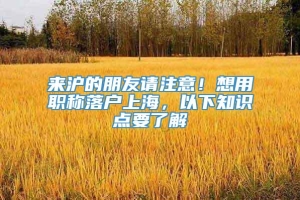 来沪的朋友请注意！想用职称落户上海，以下知识点要了解