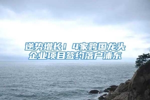 逆势增长！4家跨国龙头企业项目签约落户浦东