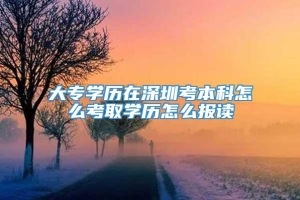 大专学历在深圳考本科怎么考取学历怎么报读