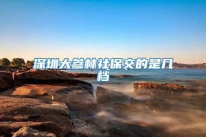 深圳大参林社保交的是几档