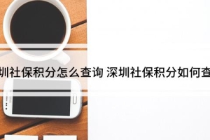 深圳社保积分怎么查询 深圳社保积分如何查询