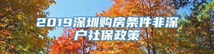 2019深圳购房条件非深户社保政策