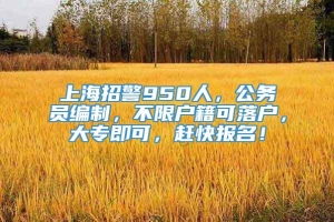 上海招警950人，公务员编制，不限户籍可落户，大专即可，赶快报名！