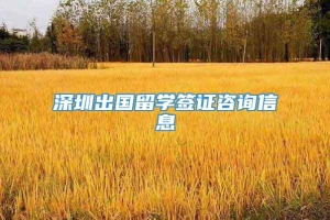 深圳出国留学签证咨询信息