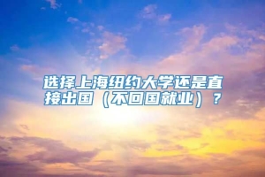 选择上海纽约大学还是直接出国（不回国就业）？