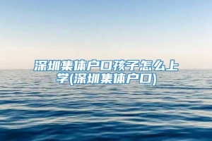 深圳集体户口孩子怎么上学(深圳集体户口)