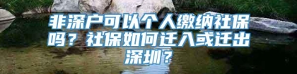 非深户可以个人缴纳社保吗？社保如何迁入或迁出深圳？