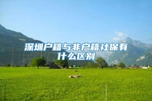 深圳户籍与非户籍社保有什么区别