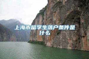 上海市留学生落户条件是什么