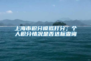 上海市积分模拟打分；个人积分情况是否达标查询