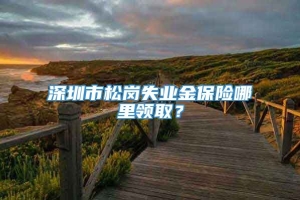 深圳市松岗失业金保险哪里领取？