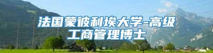 法国蒙彼利埃大学-高级工商管理博士