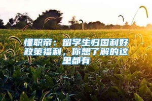 懂职帝：留学生归国利好政策福利，你想了解的这里都有