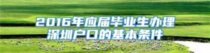 2016年应届毕业生办理深圳户口的基本条件