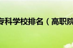 2022上海专科学校排名（高职院校最新排行榜）