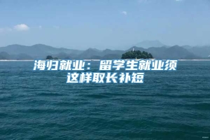 海归就业：留学生就业须这样取长补短