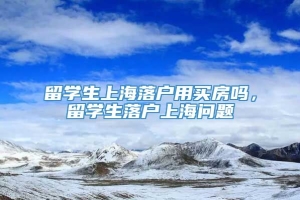 留学生上海落户用买房吗，留学生落户上海问题