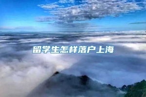 留学生怎样落户上海