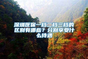 深圳医保一档二档三档的区别有哪些？分别享受什么待遇