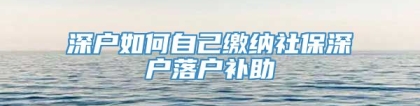 深户如何自己缴纳社保深户落户补助