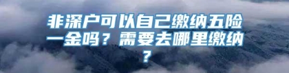 非深户可以自己缴纳五险一金吗？需要去哪里缴纳？