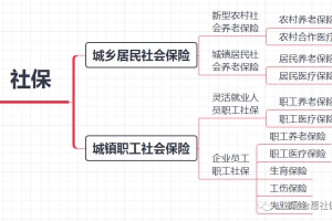 自己和单位交社保区别解析，个人如何交社保？