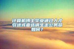 计算机博士毕业通过人才引进或者选调生走公务员如何？