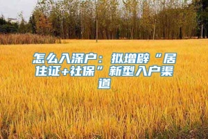 怎么入深户：拟增辟“居住证+社保”新型入户渠道