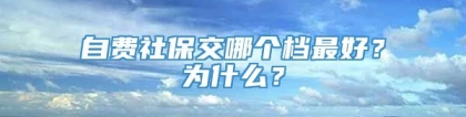 自费社保交哪个档最好？为什么？