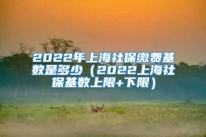 2022年上海社保缴费基数是多少（2022上海社保基数上限+下限）