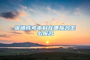 深圳成考本科在哪报名怎么报名