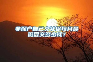 非深户自己交社保每月最低要交多少钱？