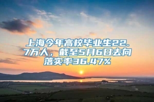 上海今年高校毕业生22.7万人，截至5月6日去向落实率36.47%