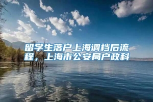 留学生落户上海调档后流程，上海市公安局户政科