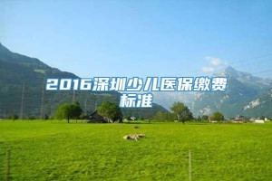 2016深圳少儿医保缴费标准