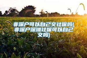 非深户可以自己交社保吗(非深户深圳社保可以自己交吗)