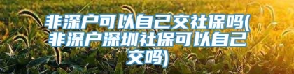 非深户可以自己交社保吗(非深户深圳社保可以自己交吗)