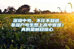 深圳中考，不比不知道，非深户考生想上高中很难！真的是触目惊心