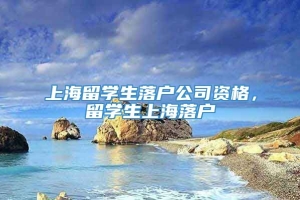 上海留学生落户公司资格，留学生上海落户