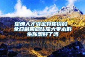 深圳人才引进有你份吗 全日制应届往届大专本科生你想好了吗