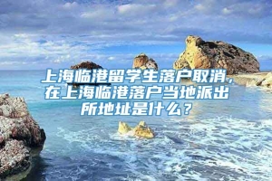 上海临港留学生落户取消，在上海临港落户当地派出所地址是什么？