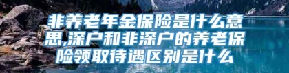 非养老年金保险是什么意思,深户和非深户的养老保险领取待遇区别是什么