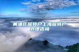 黄浦区居转户上海居转户办理咨询